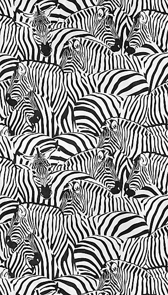 living walls Fototapete »THE WALL III Zebra Tapete Motivtapete Tiere Tiere« günstig online kaufen