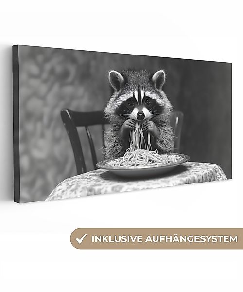 OneMillionCanvasses® Leinwandbild Panorama Waschbär - Niedlich günstig online kaufen