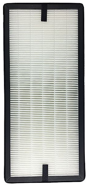 Comedes Filter-Set passend für Rowenta PU4010, günstig online kaufen