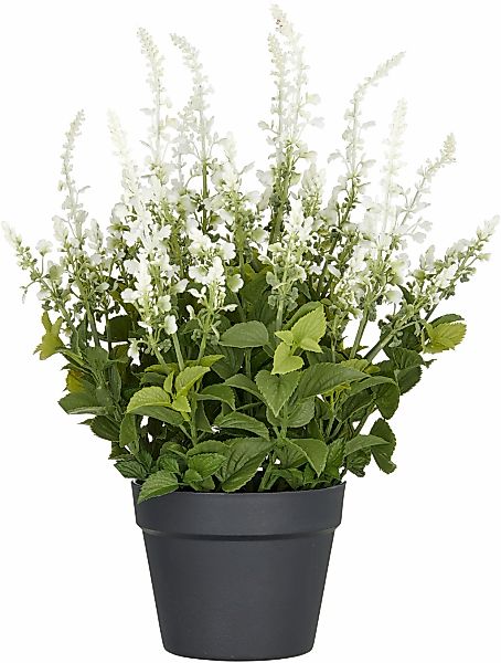 Creativ green Kunstpflanze "Salvia superba", in UV-beständiger Ausführung günstig online kaufen