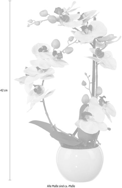 Kunstpflanze Phalaenopsis Orchidee, Creativ green, Höhe günstig online kaufen