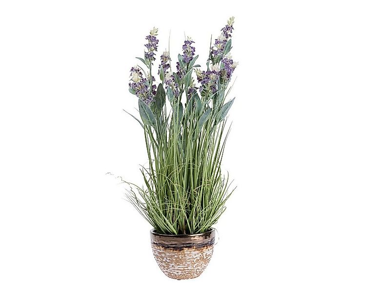 Kunstpflanze Kunstblumen Lavendel in brauner Topf, Lila, 66 cm hoch, Homesc günstig online kaufen