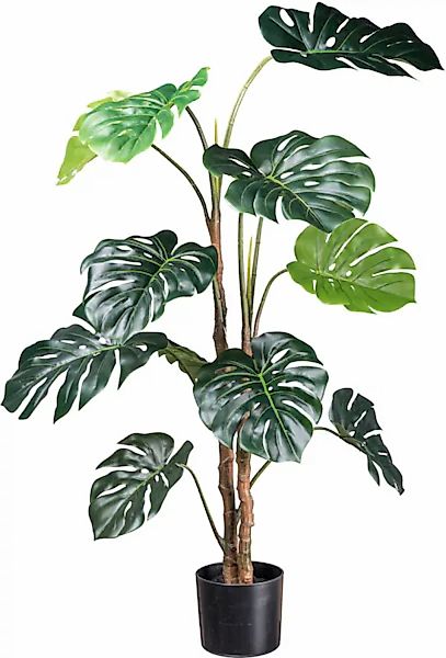 Creativ green Künstliche Zimmerpflanze "Splitphilodendron", mit detailgetre günstig online kaufen