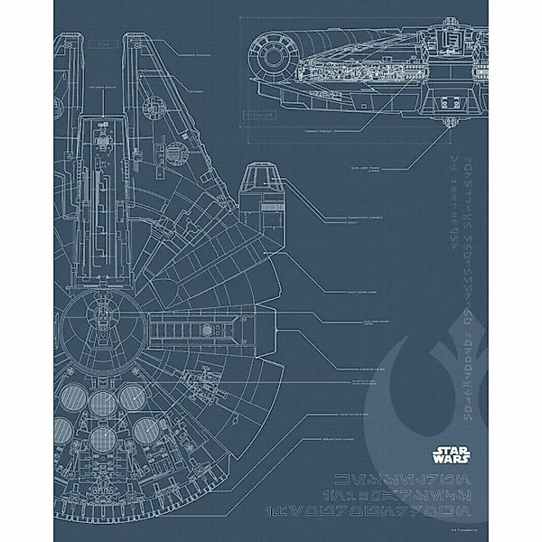 Komar Poster Star Wars Blueprint Falcon Star Wars B/L: ca. 40x50 cm günstig online kaufen