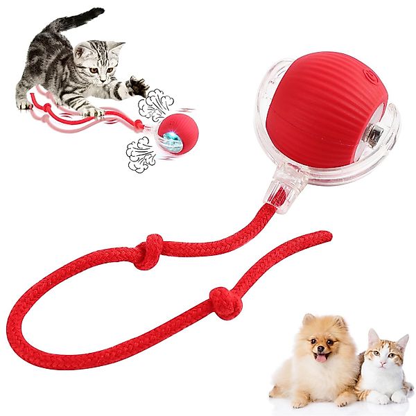 RWEUOQ Tier-Intelligenzspielzeug Katzen- und Hundespielzeug, Interaktives günstig online kaufen