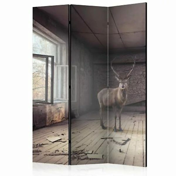 artgeist Paravent Lost [Room Dividers] grau-kombi Gr. 135 x 172 günstig online kaufen