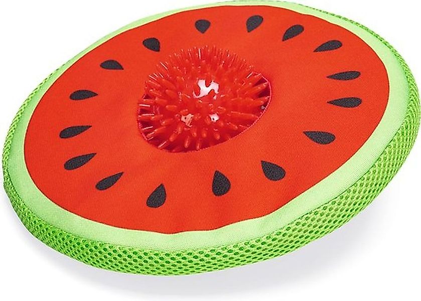 Beeztees Outdoor-Spielzeug Neopren Hundespielzeug Frisbee schwimmfähig günstig online kaufen