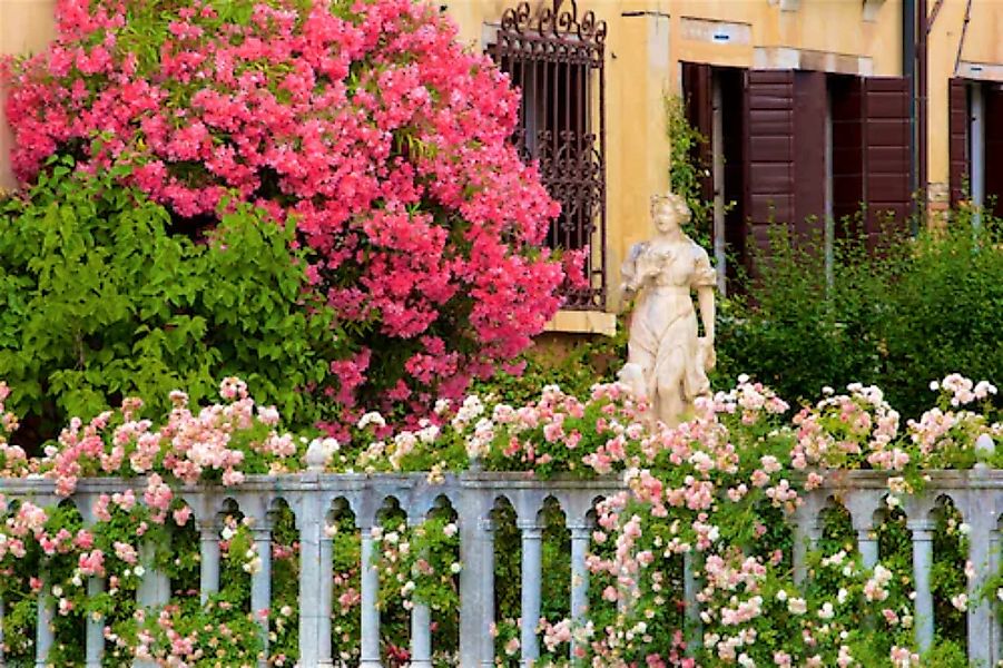 Papermoon Fototapete »GARTEN-BLUMEN BÄUME PFLANZEN STEINE WALD PERGOLA BLÜT günstig online kaufen