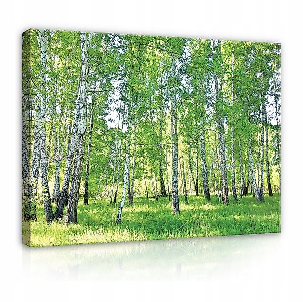 Wallarena Leinwandbild grün Wald Birkenwald Natur Wand Deko Groß XXL Modern günstig online kaufen