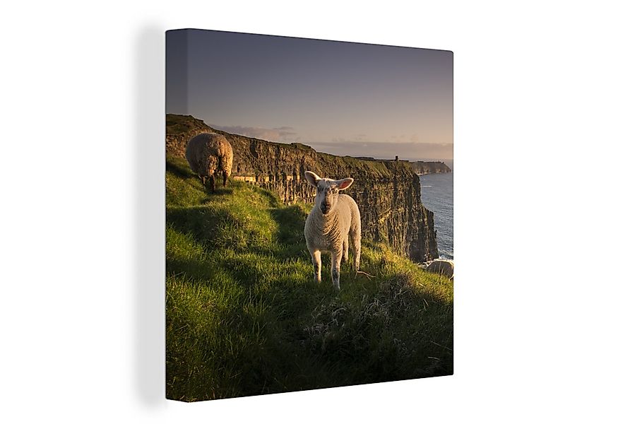 OneMillionCanvasses® Leinwandbild Schafe - Natur - Irland, Fotodruck (1 St) günstig online kaufen