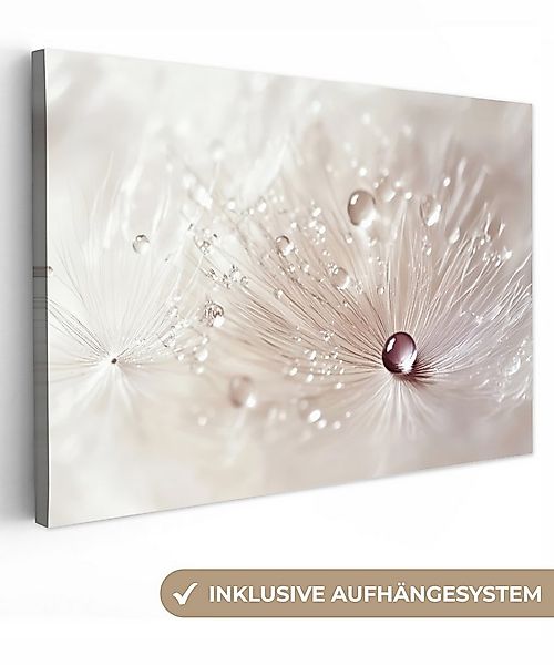 OneMillionCanvasses® Leinwandbild Blume - Abstrakt - Weiß - Wasser - Natur, günstig online kaufen