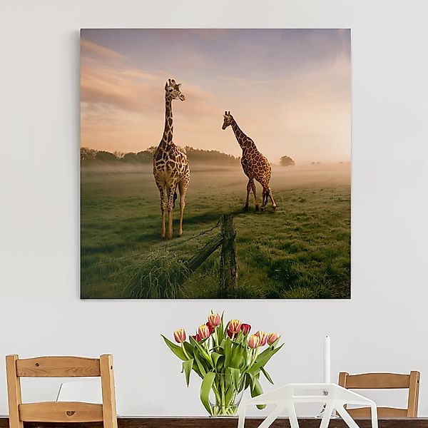 Leinwandbild - Quadrat Surreal Giraffes günstig online kaufen