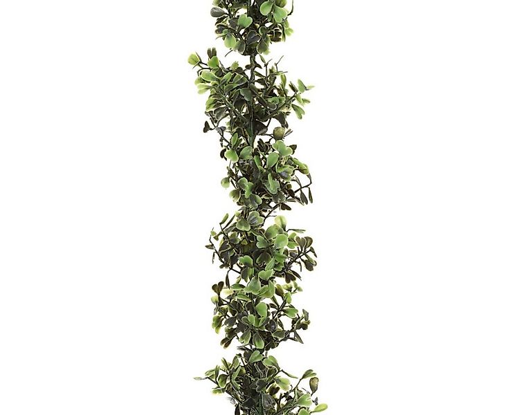 Kunstgirlande Künstliche BUCHSBAUMGIRLANDE ca. 150cm. Buchs-Girlande, Ranke günstig online kaufen
