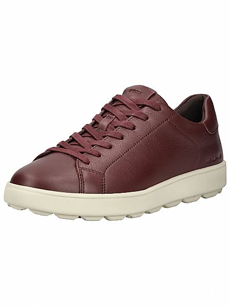 Geox Sneaker "Geox Sneaker Leder" günstig online kaufen