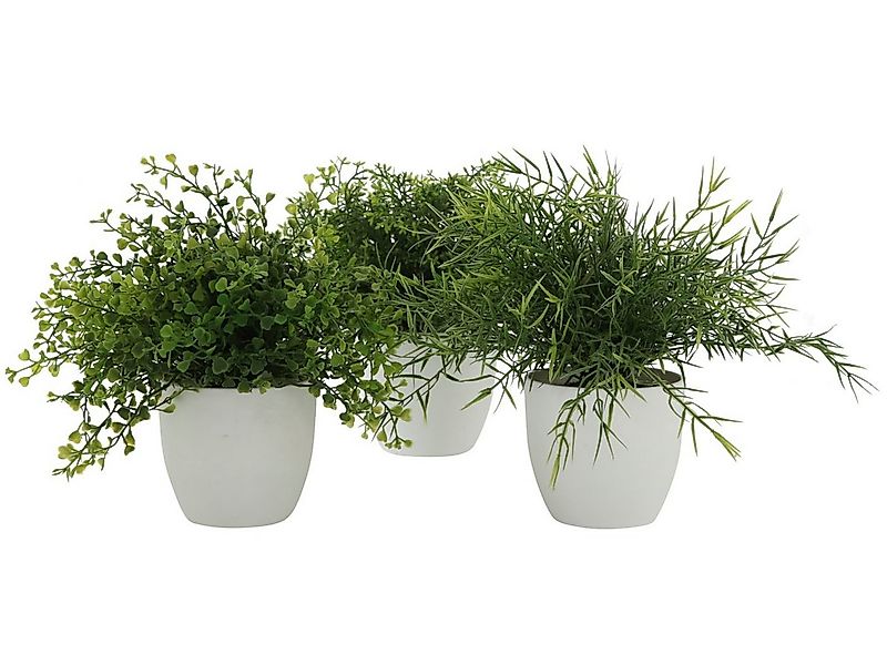 Kunstpflanze Topfpflanze Gras mehrfarbig sort. 25cm (1 Stück), BOLTZE, Höhe günstig online kaufen