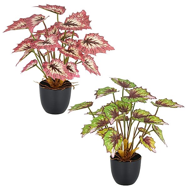 Kunstpflanze Begonia rex, Creativ green, Höhe günstig online kaufen