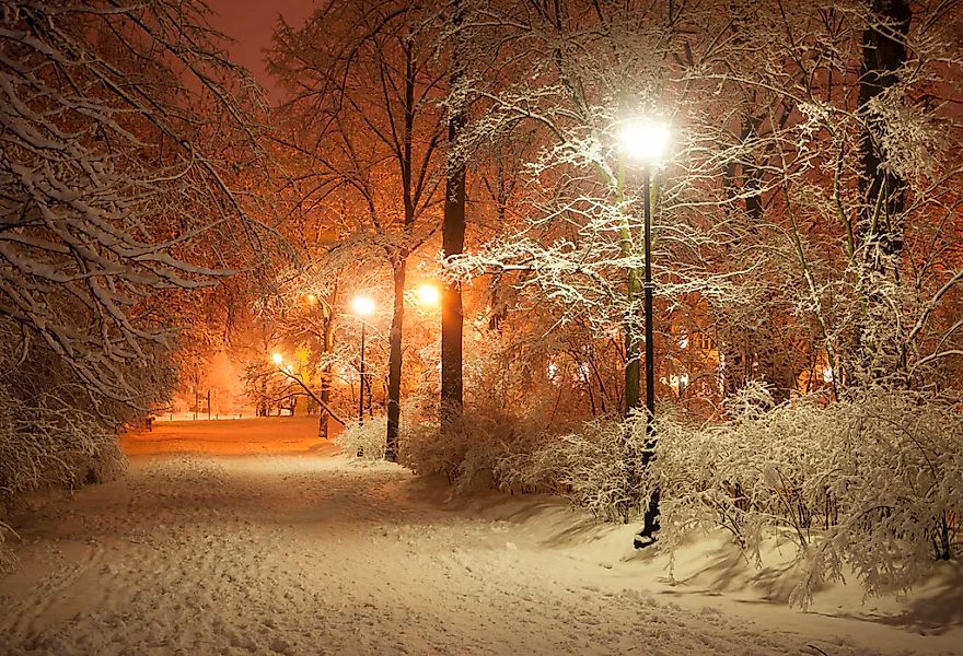 Papermoon Fototapete "Park im Winter" günstig online kaufen