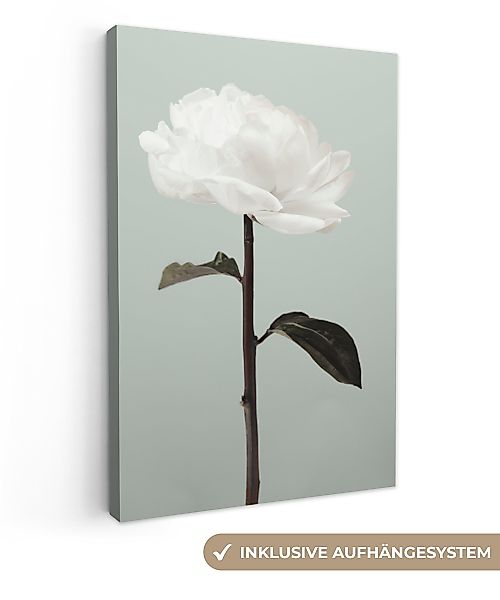 OneMillionCanvasses® Leinwandbild Blumen - Rose - günstig online kaufen