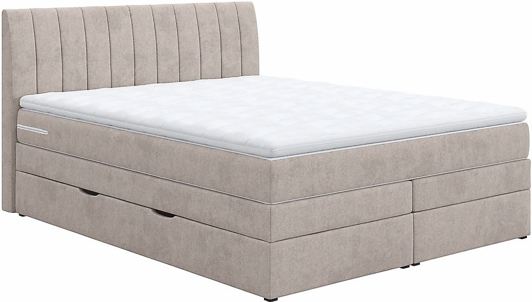 COTTA Boxspringbett "Shark inkl. Bettkasten und Topper", erhältlich in den günstig online kaufen