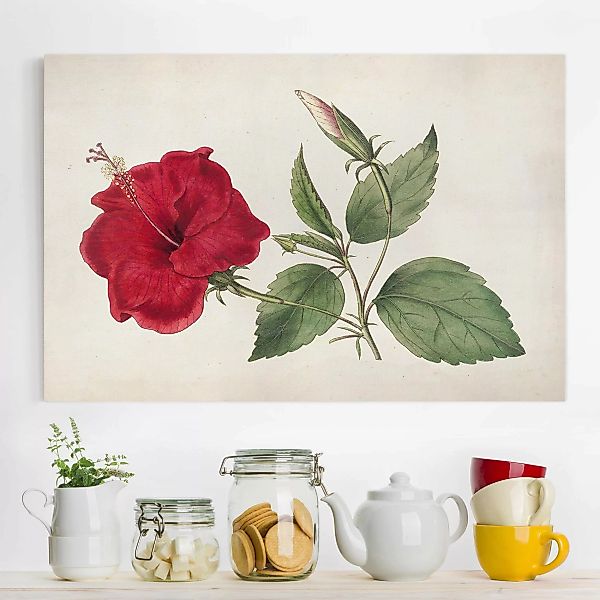 Leinwandbild Blumen - Querformat Gartenschönheit III günstig online kaufen