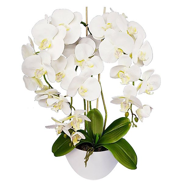Kunstblume Orchidee, damich, Höhe 60 cm, günstig online kaufen