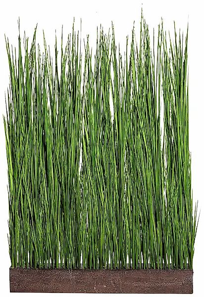 Kunstgras Gras Raumteiler, Creativ green, Höhe günstig online kaufen