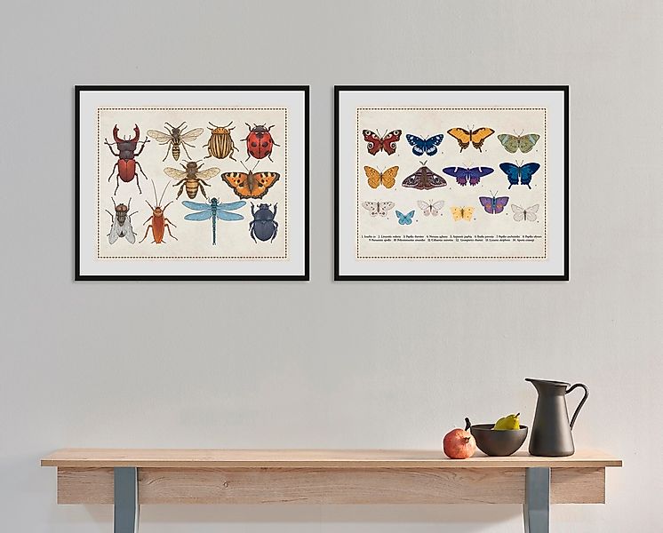queence Bild "Liane", Schmetterlinge-Kunst-Insekten, (1 St.), HD Premium Po günstig online kaufen