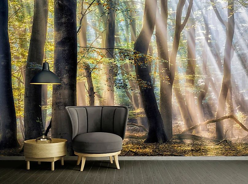Architects Paper Fototapete »The Enchanted Forest«, Vlies, Wand, Schräge günstig online kaufen