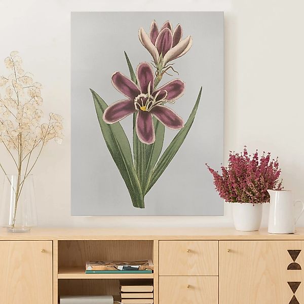 Leinwandbild - Hochformat Florale Schmuckstücke II günstig online kaufen