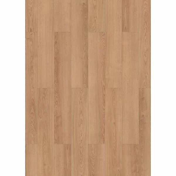 Laminatboden Eiche hell ca. 2,245 m² im Paket Eiche natur B/S: ca. 19,4x0,7 günstig online kaufen