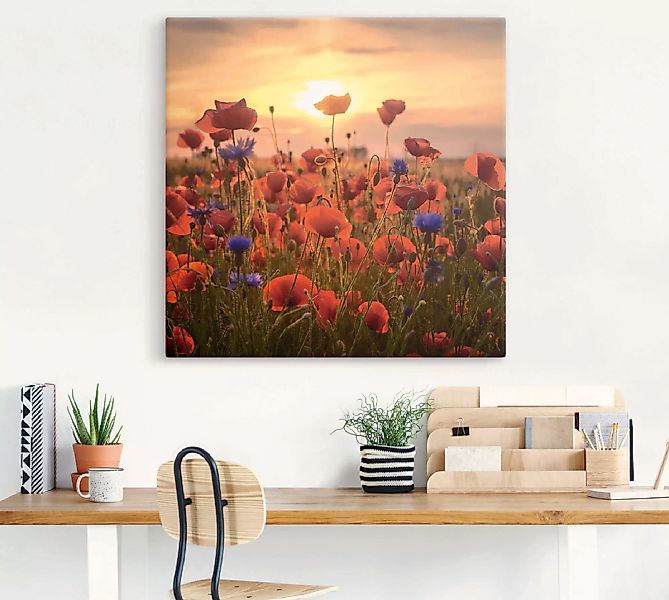 Artland Wandbild "Mohnblumen im Abendlicht", Blumen, (1 St.), als Alubild, günstig online kaufen