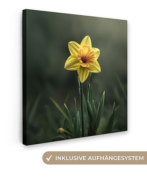 OneMillionCanvasses® Leinwandbild Blume - Narzisse - günstig online kaufen