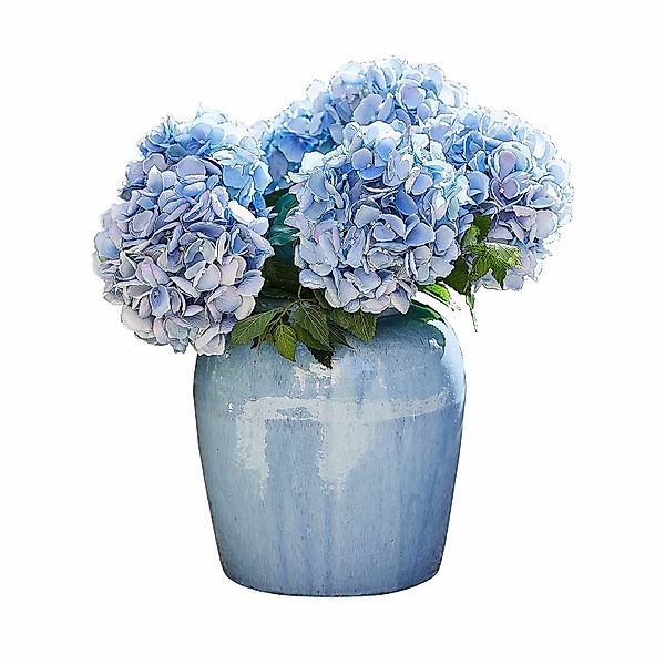 Mirabeau Tischvase Vase Uxemir blau günstig online kaufen
