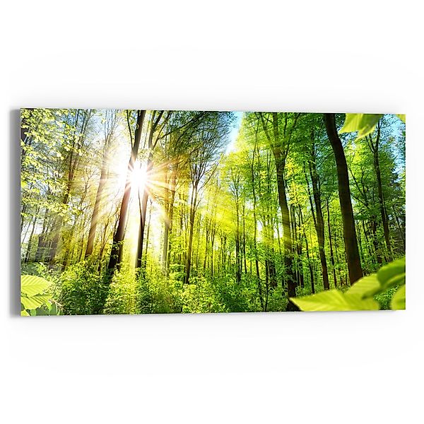 DEQORI Glasbild 'Licht durchdringt Bäume', 'Licht günstig online kaufen