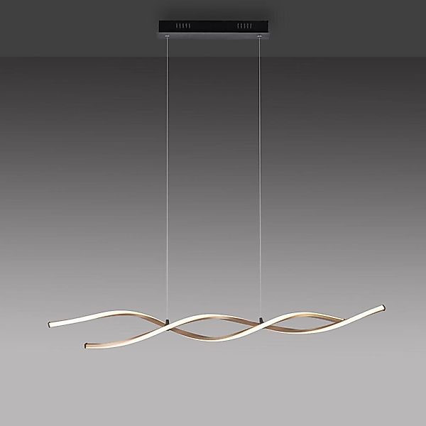 LED Pendelleuchte Polina in Schwarz 2x 10,2W 2526lm günstig online kaufen