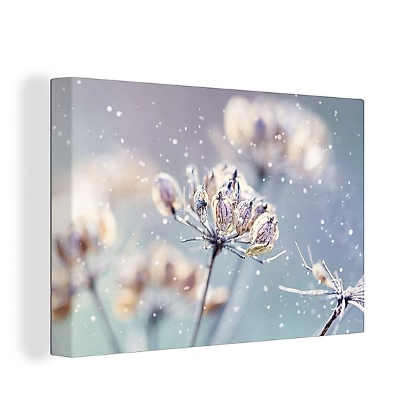 OneMillionCanvasses® Leinwandbild Blumen - Schnee - günstig online kaufen