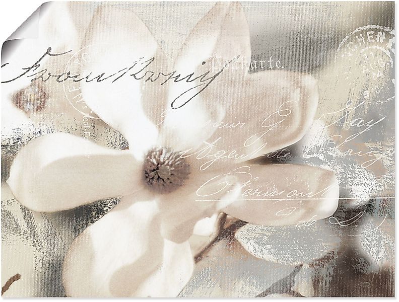 Artland Wandbild Magnolie_Detail, Blumenbilder (1 St), günstig online kaufen