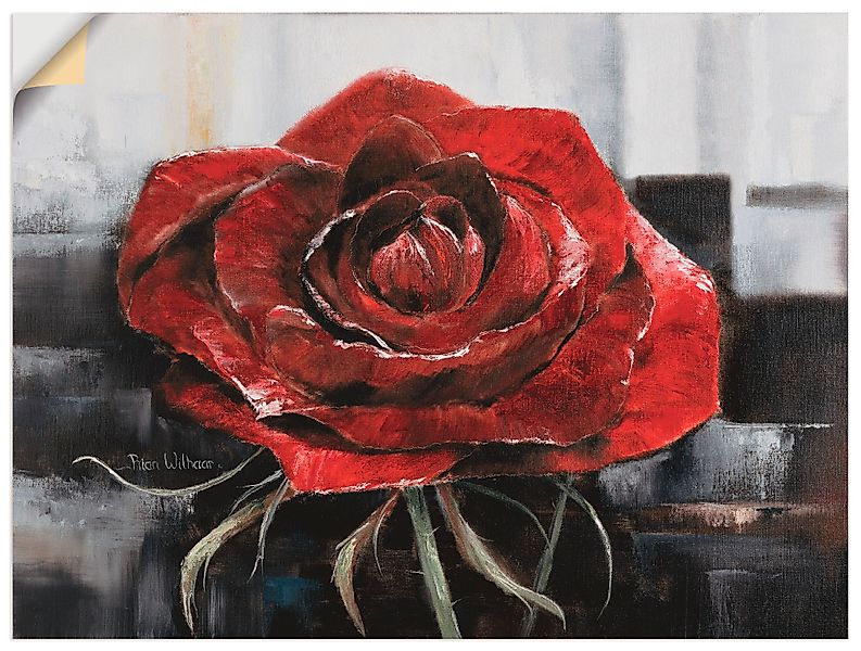 Artland Wandbild »Blühende rote Rose«, Blumen, (1 St.), als Leinwandbild, P günstig online kaufen