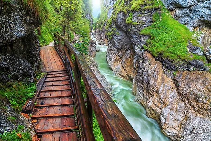 Papermoon Fototapete »Weg am Fluss« günstig online kaufen