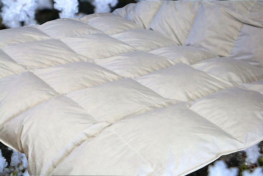 Betten Hofmann 4-Jahreszeitenbett Betten Hofmann Ganzjahresdecke günstig online kaufen
