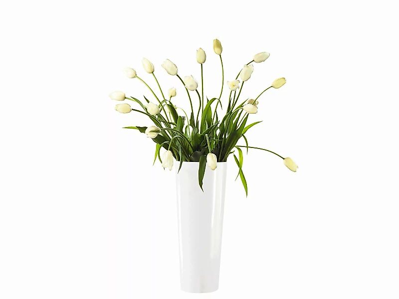 ASA Vasen mono Vase weiß 60 cm (weiss) günstig online kaufen
