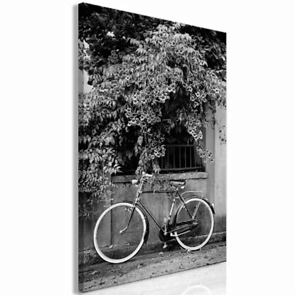 artgeist Wandbild Bicycle and Flowers (1 Part) Vertical schwarz/weiß Gr. 40 günstig online kaufen