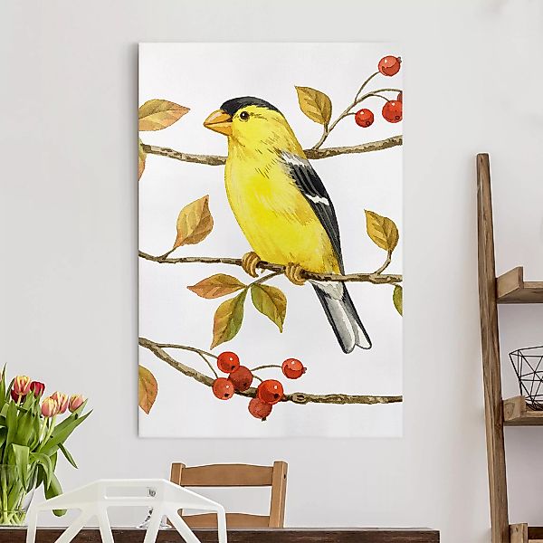 Leinwandbild Tiere - Hochformat Vögel und Beeren - Goldzeisig günstig online kaufen