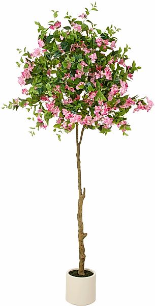 Creativ green Kunstbaum "Bougainvillea", mit zahlreichen Blüten günstig online kaufen