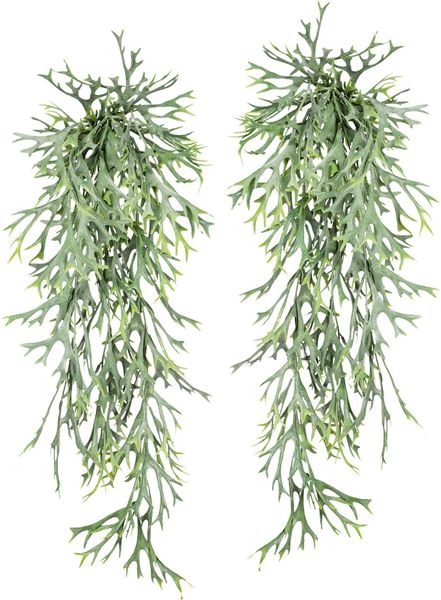 Creativ green Kunstranke "Geweihfarnhänger" 2er Set günstig online kaufen