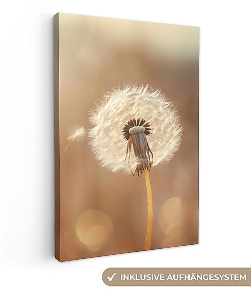 OneMillionCanvasses® Leinwandbild Löwenzahn - Beige - günstig online kaufen