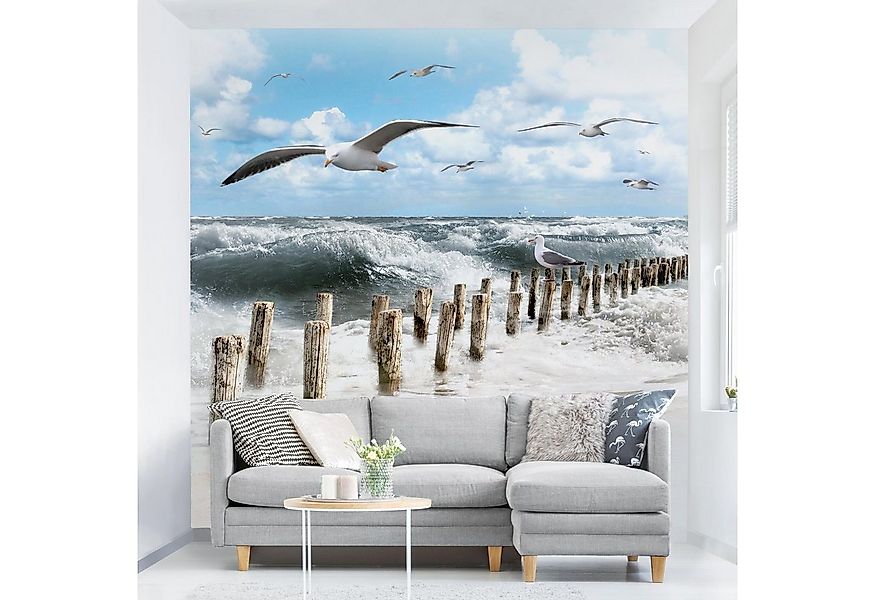 Bilderdepot24 Fototapete Strand & Meer Absolut Sylt Natur Landschaft Mariti günstig online kaufen