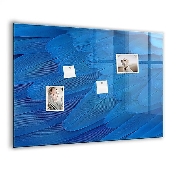 Tulup Beschreibbare Magnettafel Vogelfeder 100x70 cm Beschreibbare Magnetta günstig online kaufen