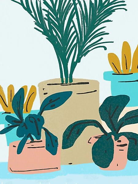 Poster / Leinwandbild - Little Plants günstig online kaufen