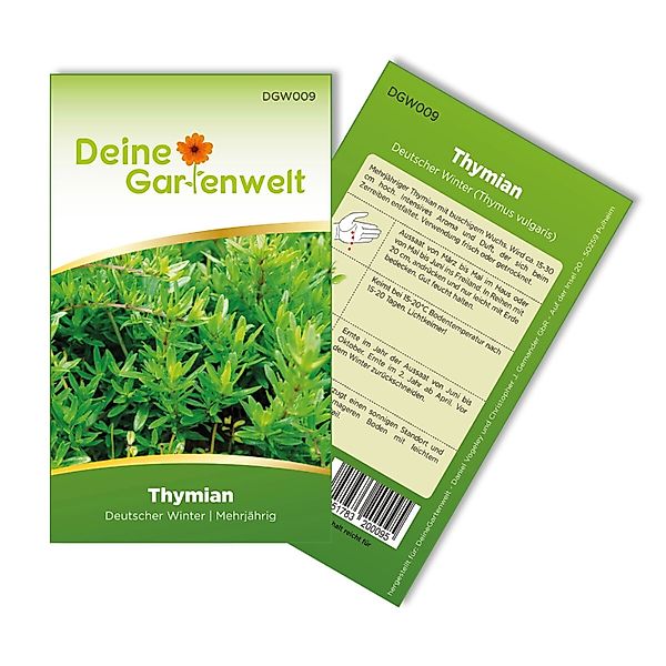 Deine Gartenwelt Thymian Deutscher Winter Samen günstig online kaufen
